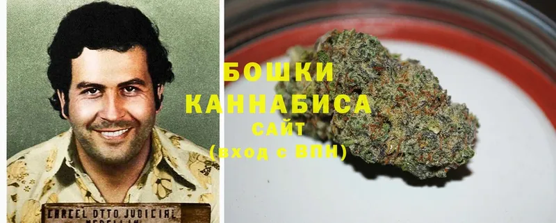 МАРИХУАНА тримм  где купить   omg   Жиздра 